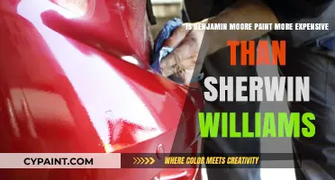 Benjamin Moore vs. Sherwin Williams: Premium Paint, Premium Price?