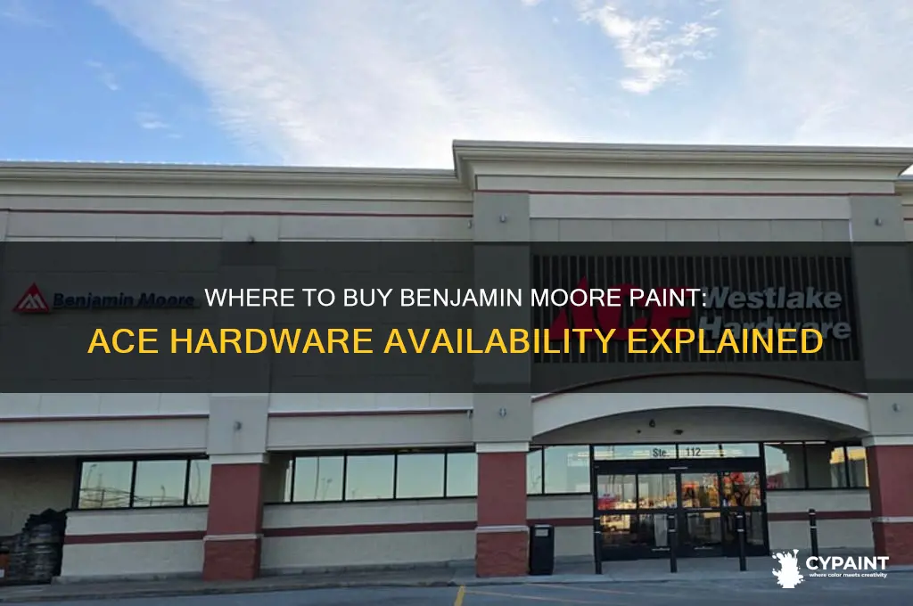 Ace Hardware Moore Ok