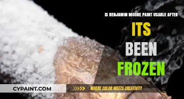 Can You Use Paint After It's Been Frozen?