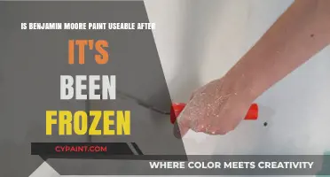 Can Frozen Benjamin Moore Paint Still Be Used? Find Out Here