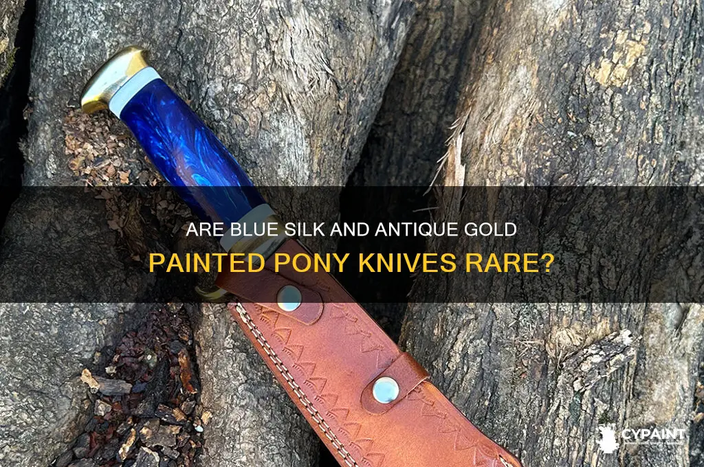 is blue silk and antique gold painted pony knive rare