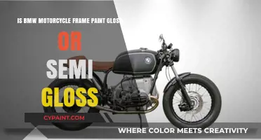 BMW Motorcycle Frame Paint: Gloss or Semi-Gloss?