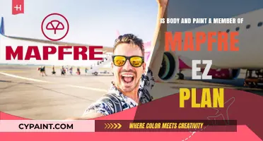 Is Body and Paint Covered Under MAPFRE EZ Plan?