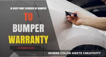 Body Paint and Bumper-to-Bumper Warranty: What's Covered?