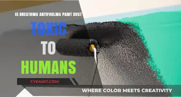 Breathing Antifouling Paint Dust: Uncovering the Toxic Risks to Humans