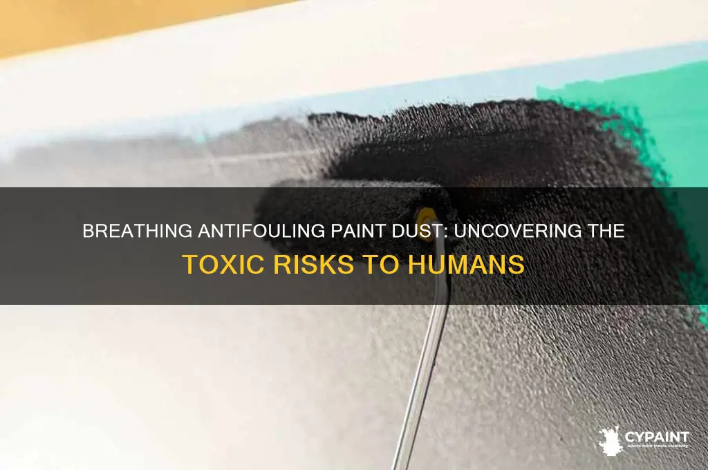 is breathing antifouling paint dust toxic to humans