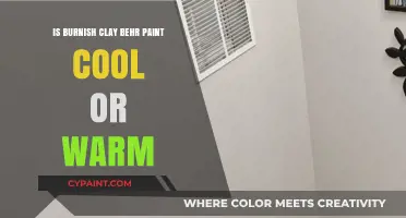 Burnish Clay Behr Paint: Decoding Its Cool or Warm Tone
