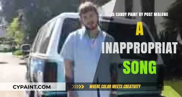 Candy Paint: Is Post Malone's Song Inappropriate?