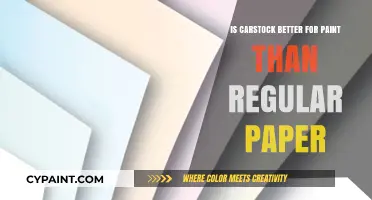 Carstock vs. Paper: Which Surface Enhances Paint Better?