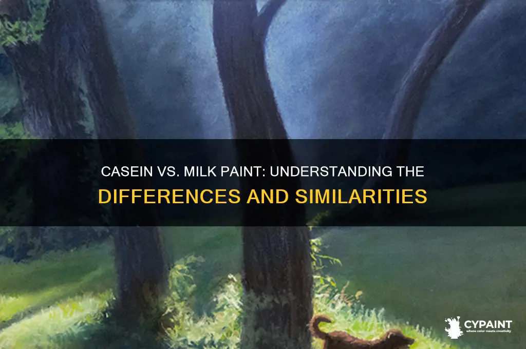 is casein paint the same as milk paint