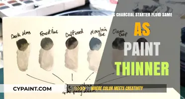 Charcoal Starter Fluid vs. Paint Thinner: Are They Interchangeable?