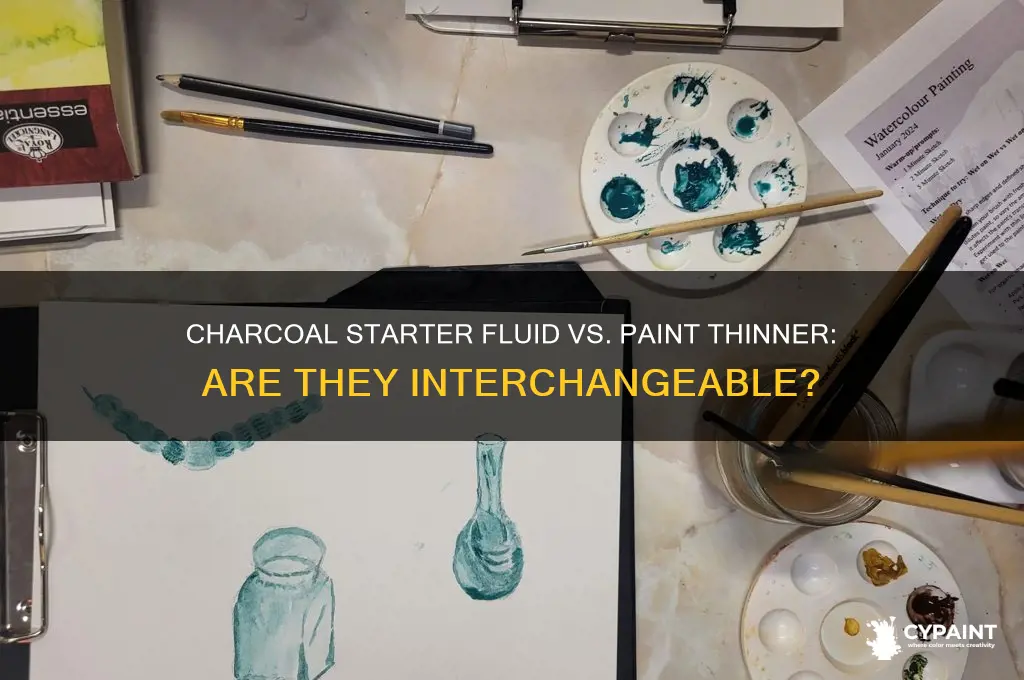 is charcoal starter fluid same as paint thinner