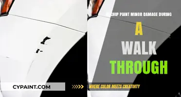 Chip Paint: What Constitutes Minor Damage?