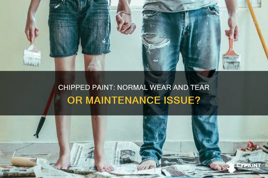 is chipped paint considered normal wear and tear