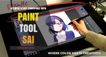 Cintiq 13 HDT: Paint Tool Sai Compatibility