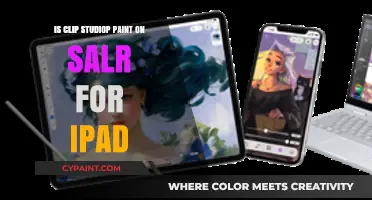 Is Clip Studio Paint on Sale for iPad? Find Out Now!
