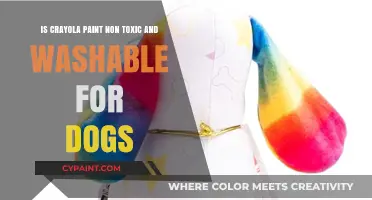 Crayola Paint: Safe and Washable for Dogs?