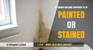 Crown Molding: Paint or Stain?