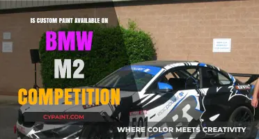 Custom Paint Options for BMW M2 Competition: Availability and Choices