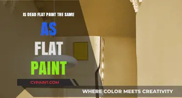 Dead Flat Paint vs Flat Paint: What's the Difference?
