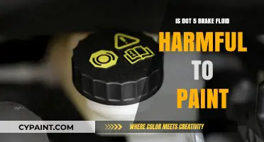 Is DOT 5 Brake Fluid Harmful to Car Paint? Find Out