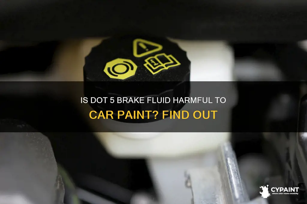 is dot 5 brake fluid harmful to paint