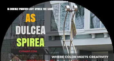 Double Painted Lady vs. Dulcea Spirea: Are They the Same?