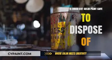 How to Safely Dispose of Dried Solid Paint