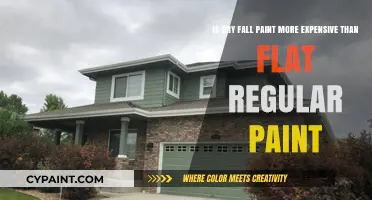 Dry Fall vs. Flat Paint: Which Option Costs More?