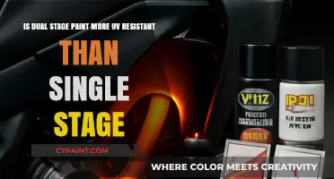 Dual Stage Paint vs. Single Stage: UV Resistance Compared