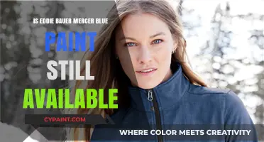 Eddie Bauer Mercer Blue Paint Availability: Is It Still Sold?