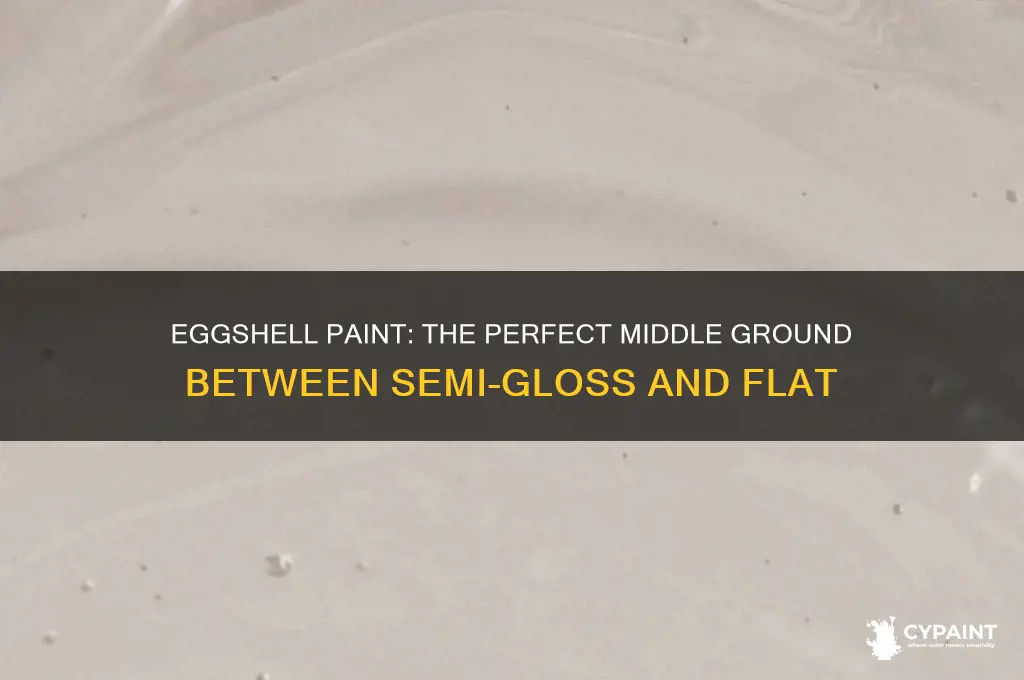 is eggshell paint between semi-gloss and flst