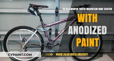 Ellsworth Truth Mountain Bike: Anodized Paint Finish?
