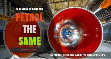 Paint vs. Petrol: Unraveling the Essence of Their Chemical Composition