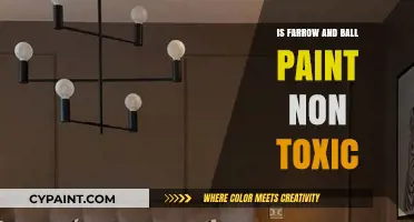 Is Farrow and Ball Paint Non-Toxic? A Comprehensive Guide