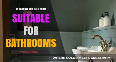 Farrow & Ball Paint: Ideal Choice for Bathroom Walls?