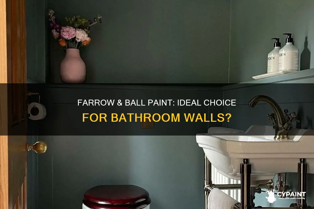 is farrow and ball paint suitable for bathrooms
