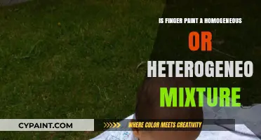 Finger Paint: Homogeneous or Heterogeneous Mixture? Unraveling the Mystery