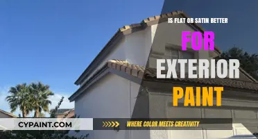 Flat vs. Satin Exterior Paint: Which Finish Suits Your Home Best?