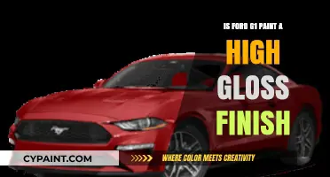 Ford G1 Paint: High Gloss Finish Explained and Reviewed