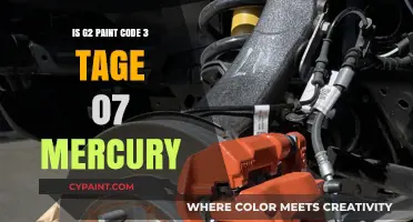 Understanding G2 Paint Code 3 Tage 07 Mercury: A Comprehensive Guide