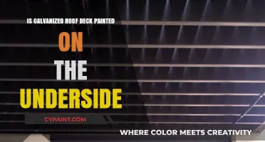 Should You Paint the Underside of a Galvanized Roof Deck?