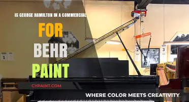 George Hamilton's Iconic Appearance in Behr Paint Commercial