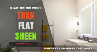 Glossy vs. Flat Paint: Which Sheen Costs More for Your Walls?