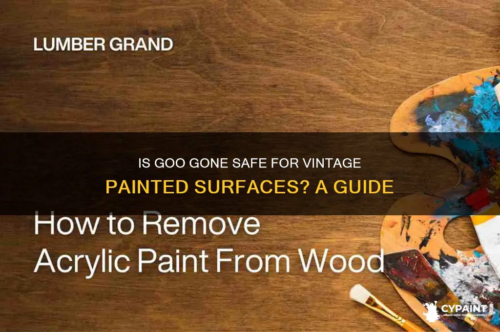 is goo gone safe on vintage painted surfaces