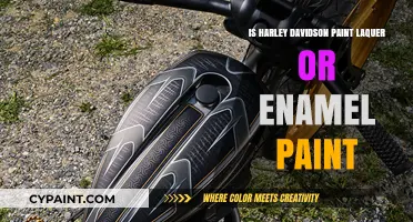 Harley Davidson Paint: Lacquer or Enamel? Unveiling the Finish