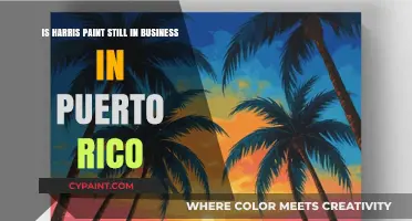 Harris Paint: Still in Business in Puerto Rico?