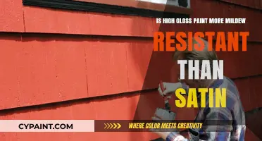 Glossy Paint: Mildew-Resistant Finish or Myth?