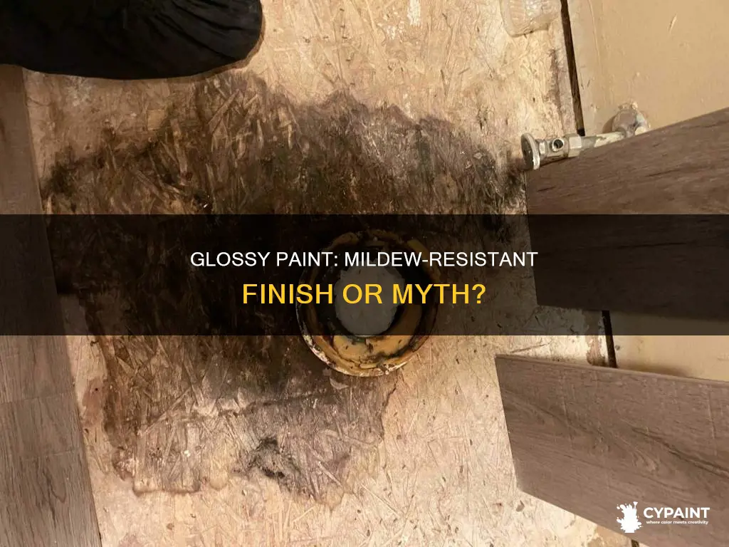 is high gloss paint more mildew resistant than satin