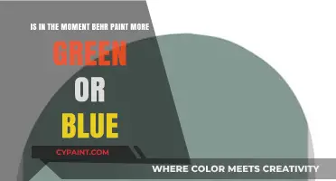In the Moment Behr Paint: Green or Blue Dominance?